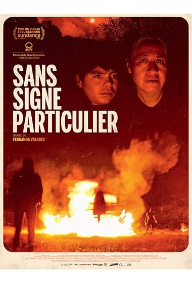 Poster van Identifying Features